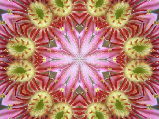 434642 (a): :2400x1800